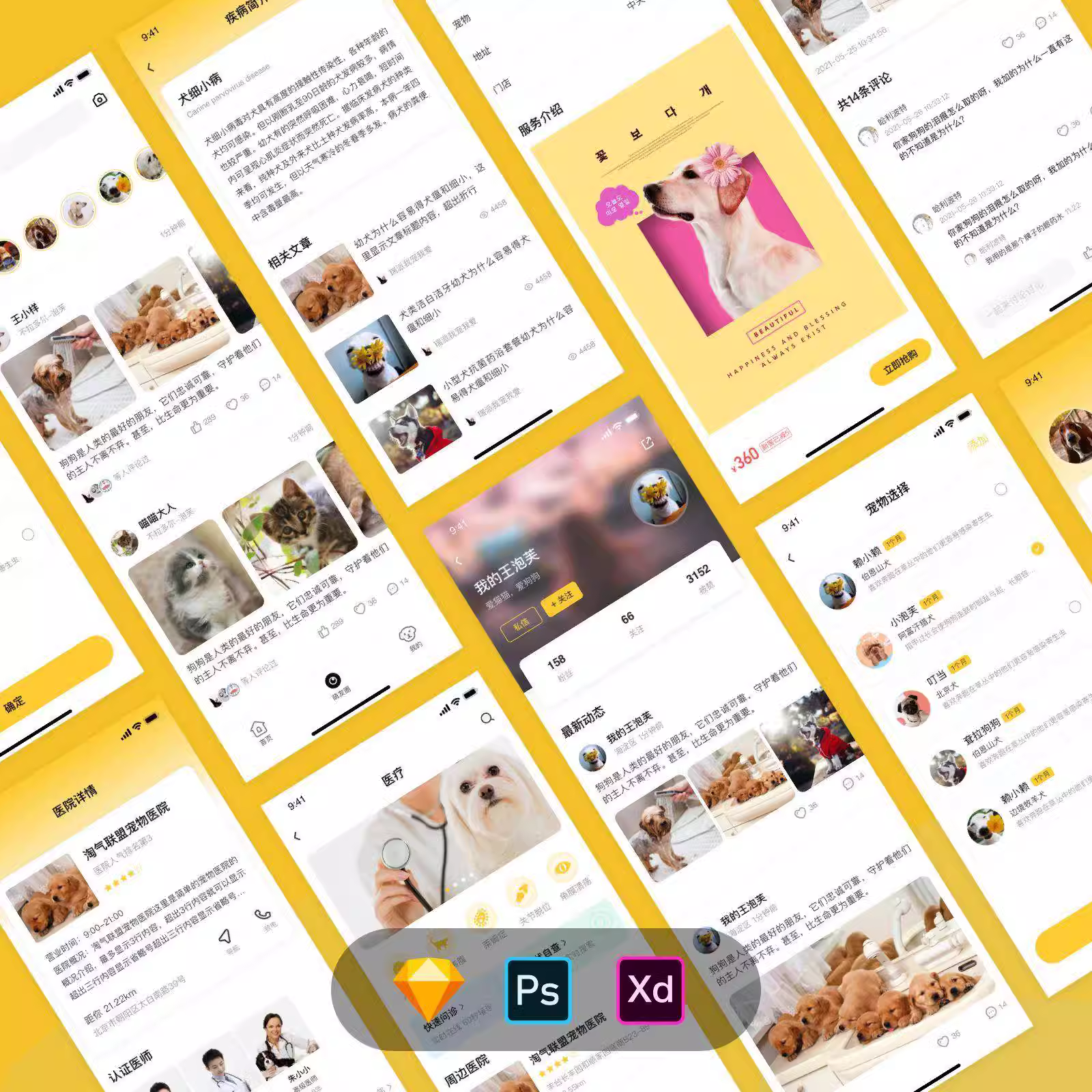 源码部署/搭建宠物社交APP 源码部署/搭建宠物社交APP