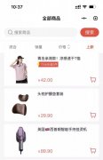 技术开发、APP定制开发、小程序开发、秒杀系统